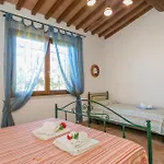 Il Pino - Ciliegio Cecina (Livorno)