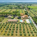 Il Pino - Ciliegio *
