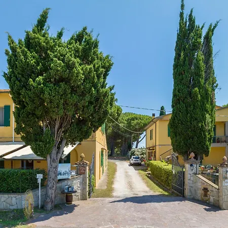 Il Pino - Ciliegio