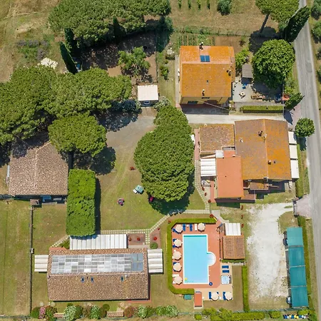 Il Pino - Ciliegio